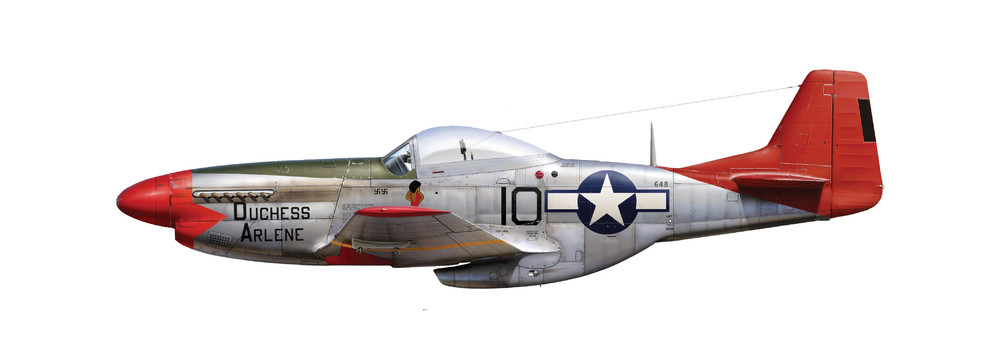 1582144288_P-51DDuchessArlene.thumb.jpg.9325ab419bd3dcb312122b603ba18607.jpg