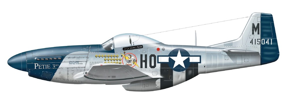 1873072335_P-51Mustang.thumb.jpg.235307df983f746ca1006bd51bd6bfba.jpg