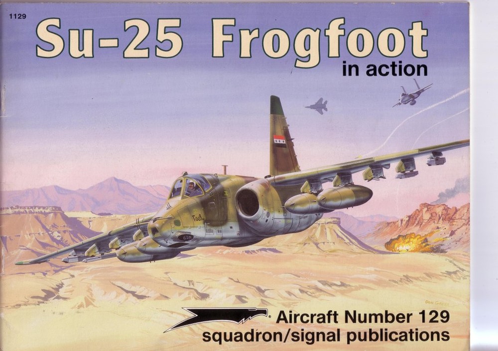 1970900149_Su25Book1.thumb.jpg.7653abbfe25663abec27e6a956e072bb.jpg