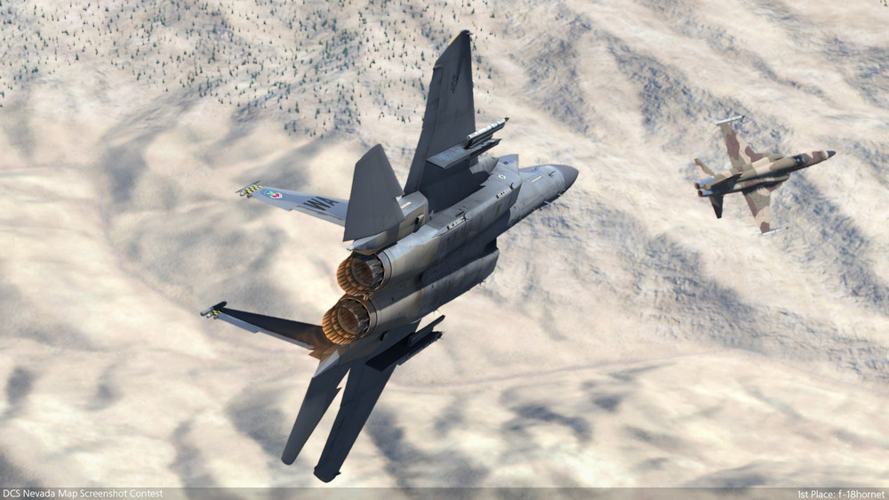 1st-Place-f-18hornet.thumb.jpg.d763a25a1b6343726d254b335fe6dcd8.jpg