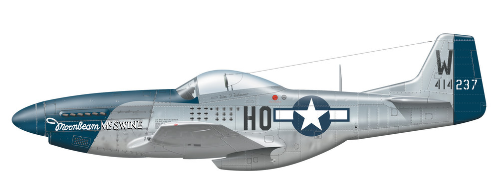 424565327_P-51DMoonbeamMcSWINE.thumb.jpg.64f779e6a6487b86371a45e920010c48.jpg