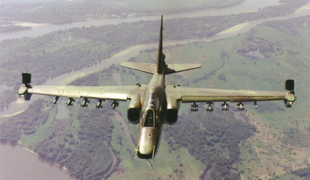 908668900_Su-25frogfoot.thumb.jpg.d0db1c29d157192db7358fa5198f9b1d.jpg