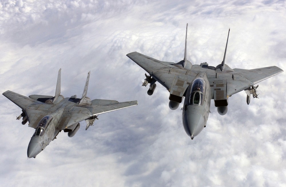F-14A_VF-211_SectionTop.thumb.JPG.78f4cac83a8f6adfa32079df6eb3b810.JPG
