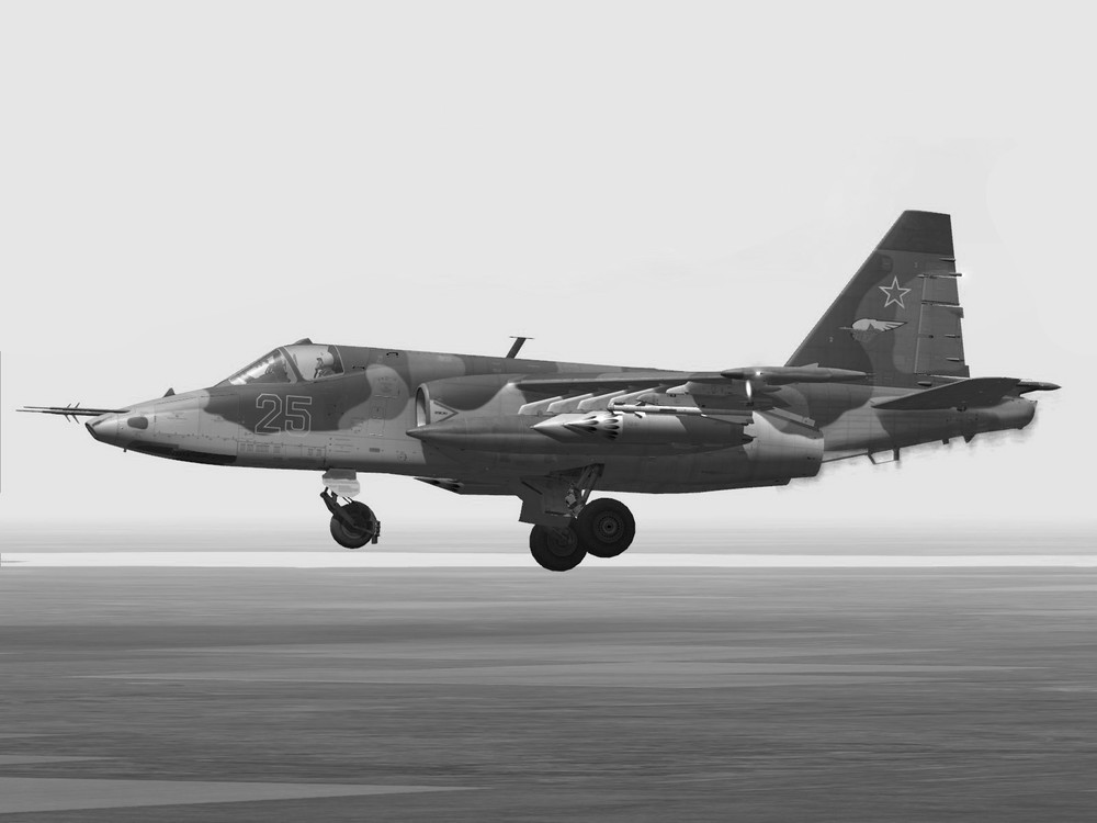 Su-25-5.thumb.jpg.2c36fa75b1907a6cec911d04364ad263.jpg