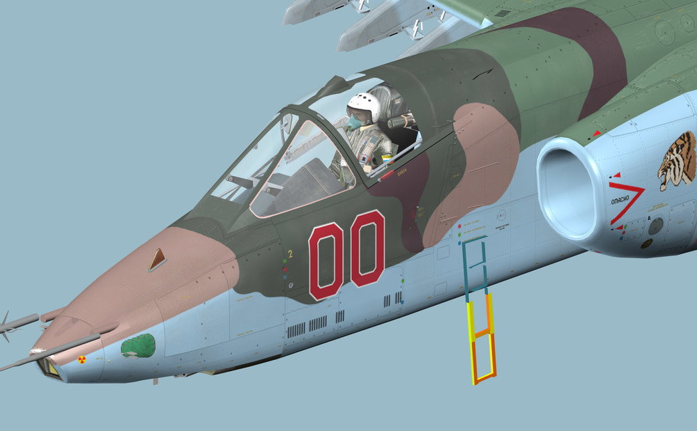 Su-25-nose-dets.thumb.jpg.7daf6cc4c0ef640b47290dde1f515243.jpg