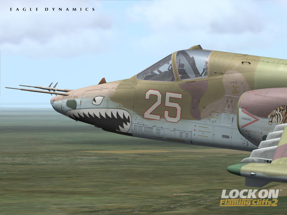 Su-25_final_1600x1200_4.thumb.jpg.e7b6e9c36f9c23c61378992ba6b552ad.jpg
