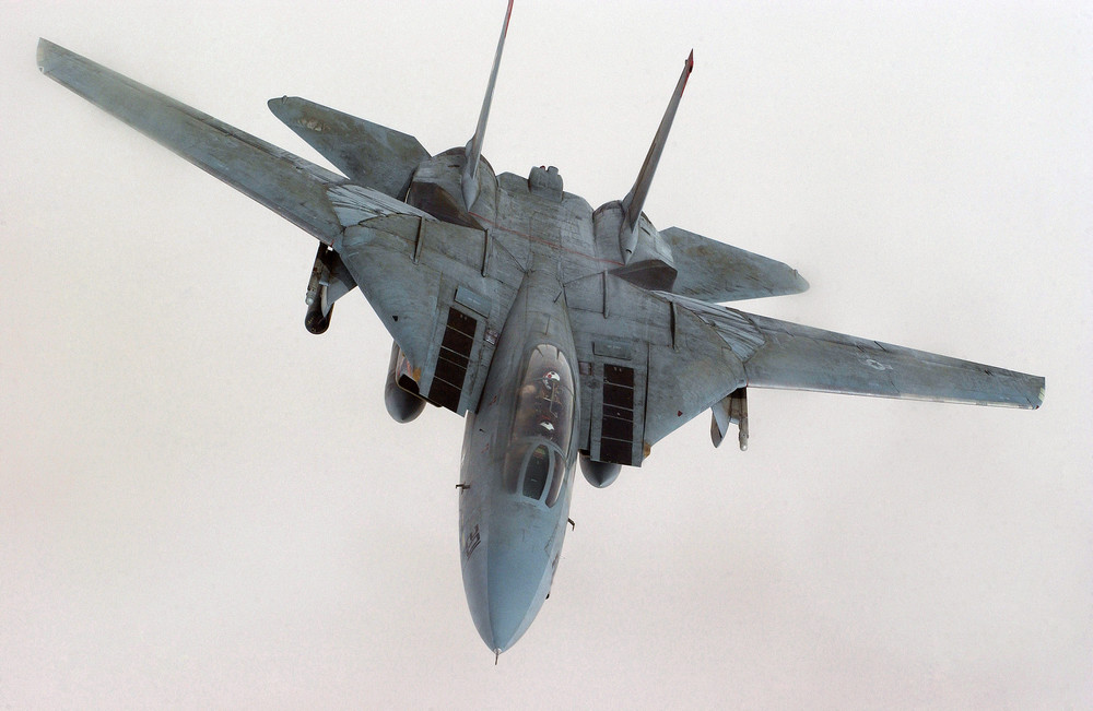 US_Navy_F-14B_Tomcat_(2268467788).thumb.jpg.6bd3956360faf6dc4ff500fce15a76d7.jpg