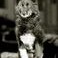 Balto