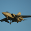 flyinbart