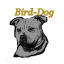 Bird-Dog