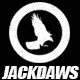 Jackdaws
