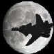 nightowl