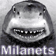 Milanets12