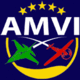 AMVI_Flat