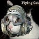 The Flying Cat