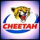 IAF.Cheetah
