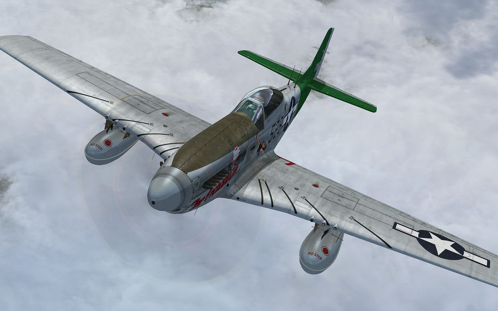 p51_img8.thumb.jpg.dc341e62b1bd0f7de7bffa812de7a75e.jpg