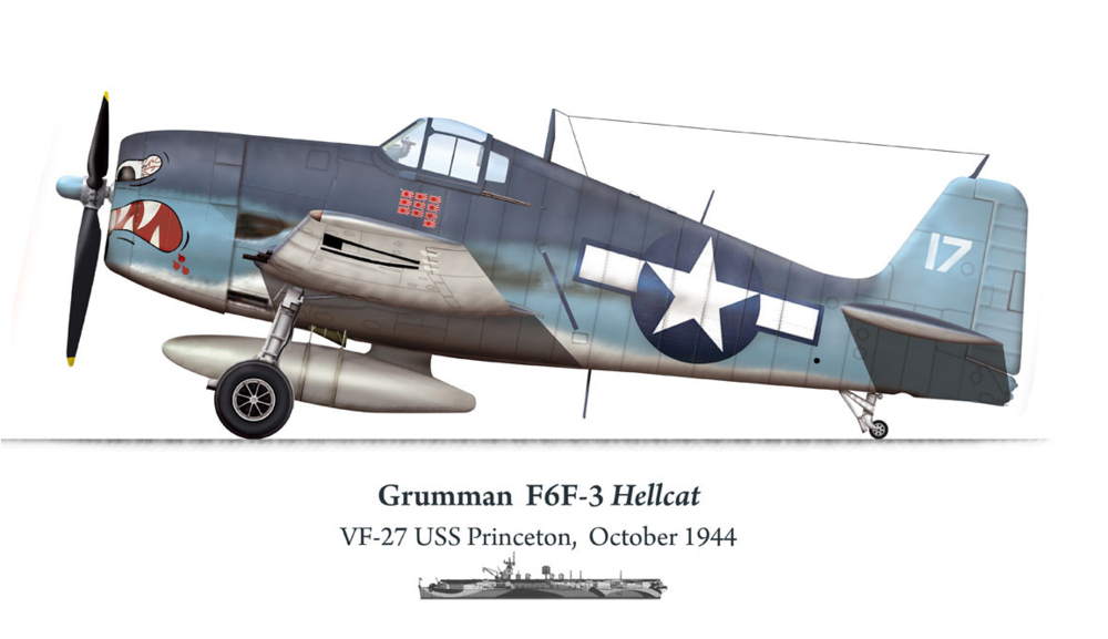 1487216540_GrumanHellcat.thumb.PNG.427f5717a874bf8aace660ca38063556.PNG