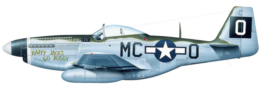 1805255643_P-51DHappyJacksGoBuggy.thumb.jpg.1fad398c03bbd006bf2fb05e95e7686b.jpg