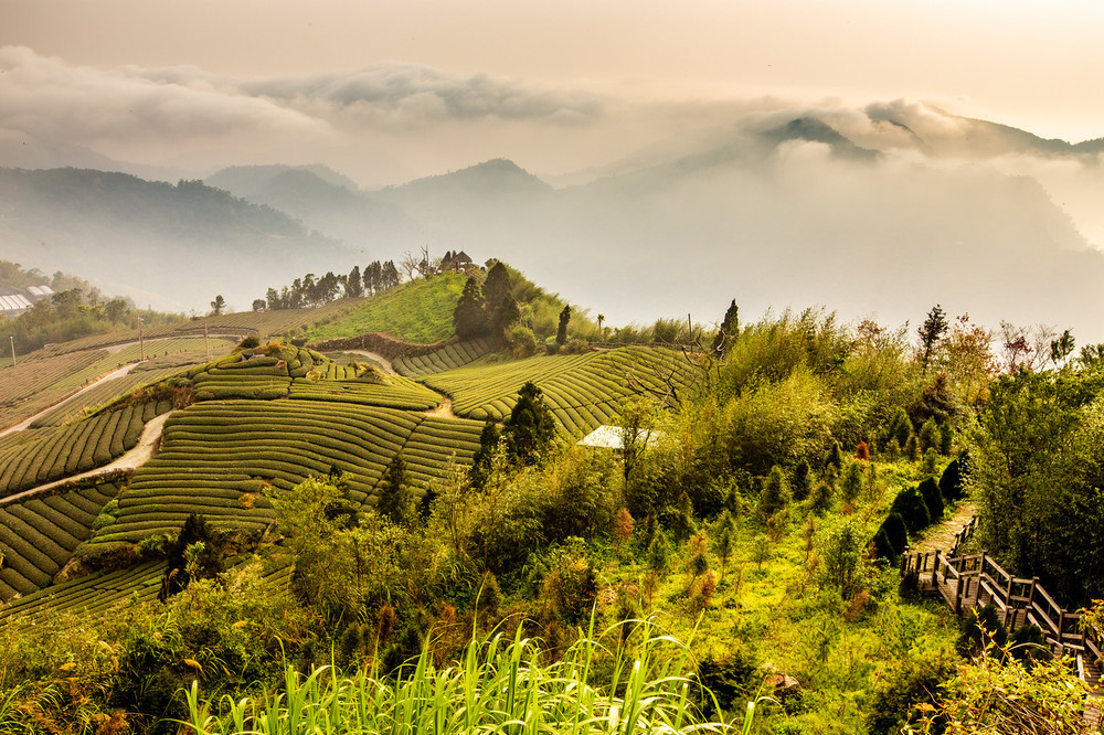 Taiwan Photo 005.jpg