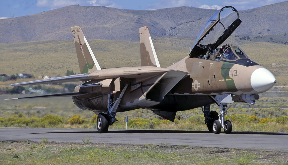 2053016719_F-14TomcatNFWS-NSAWC.thumb.jpg.a073fb115aa139cdfb5cc0b7c605aa62.jpg