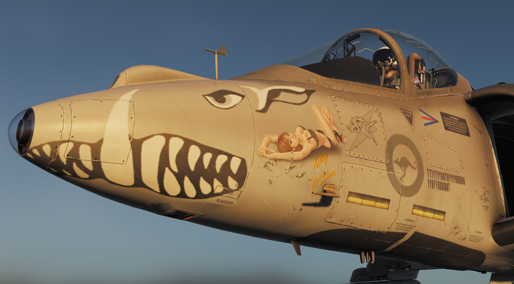 244739684_AV-8BNoseArt1.thumb.jpg.91683e8a76908610bd65d35f3a42e1d2.jpg