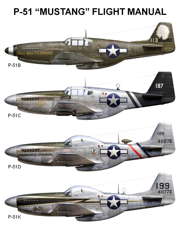 518864459_P-51FlightManualCover(PacificTheater).thumb.jpg.9d4d891e2ccce8aa7e6bd2cc04f5dc29.jpg