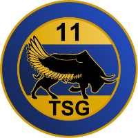 11TSG