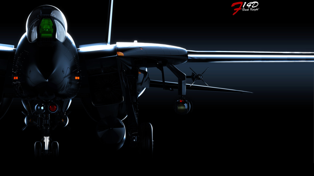 937118307_f-14Ddarkknight.thumb.png.4ffe6cf59b72a123e2829bbd605dd628.png