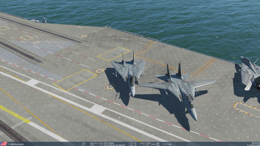 F-14bug.thumb.jpg.2826f8a61422214603e190c4fd77e69c.jpg