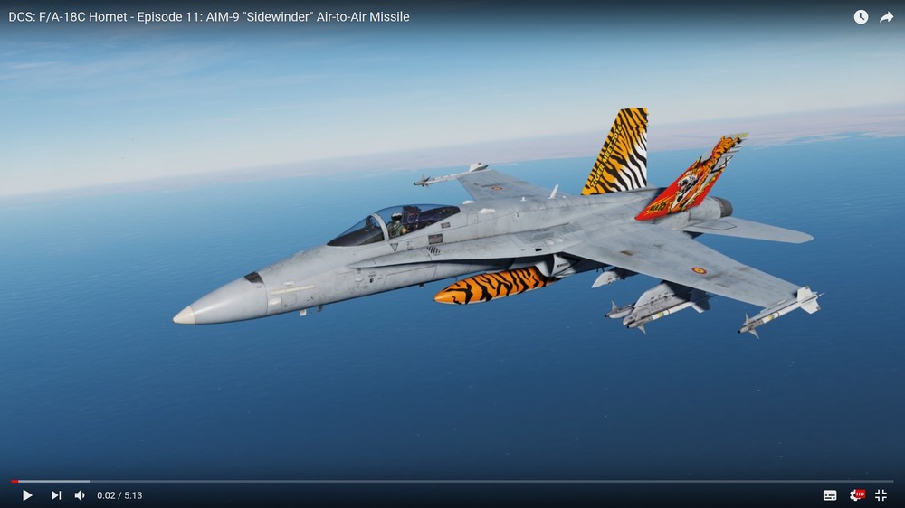 Hornet_screenshot.thumb.jpg.3593c071bd037d36ce7b3bfeebbe50f9.jpg