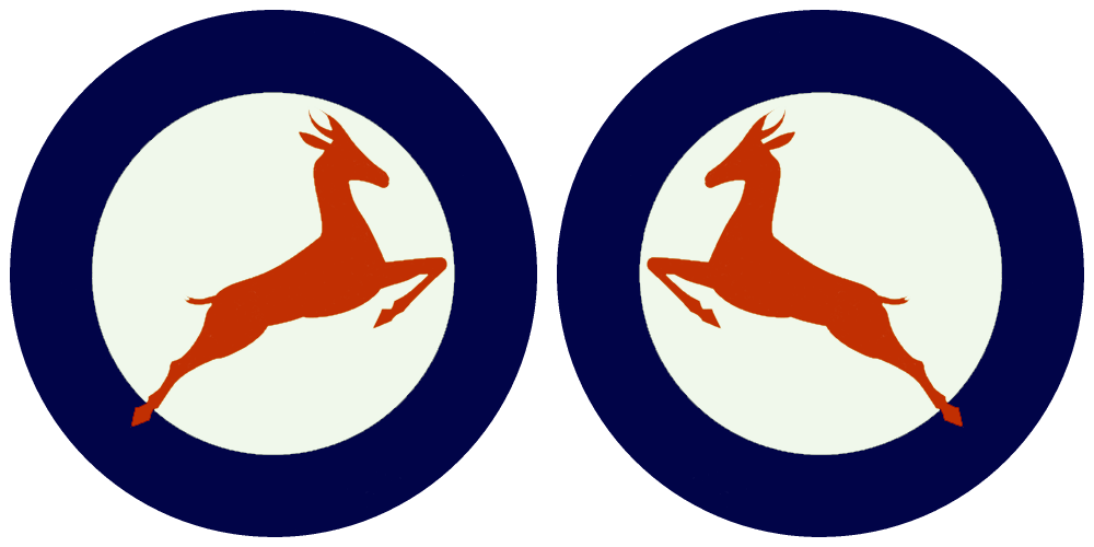 SAAF_47_roundel.thumb.png.029c0d168c524cb8dde3c0df7aaaca61.png