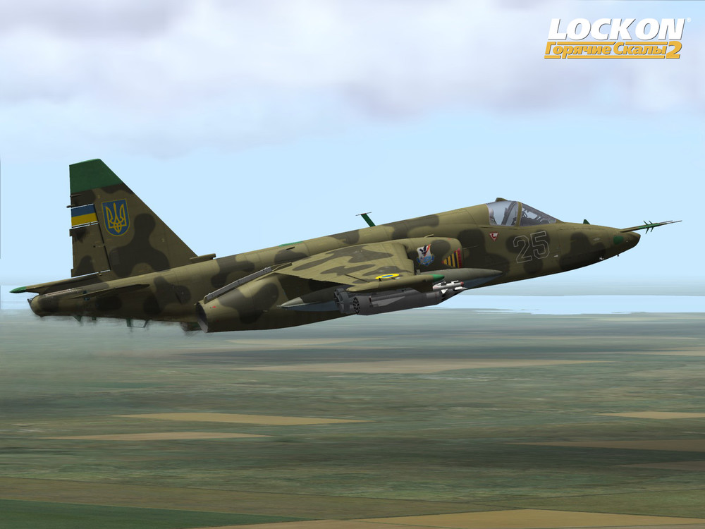 Su-25-10.thumb.jpg.dc85a376cf86256f71e0611a87a5762b.jpg