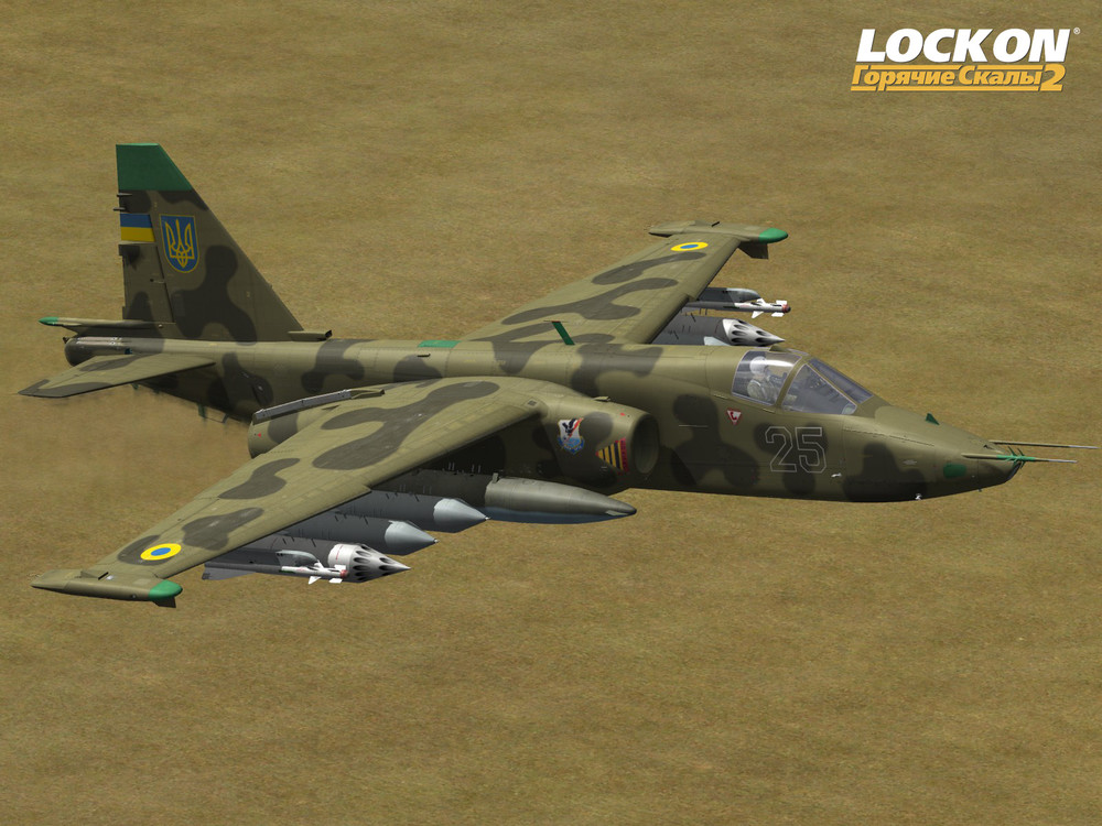 Su-25-LOP-11.thumb.jpg.f92af60e35c28cb3eadb952fd600a201.jpg