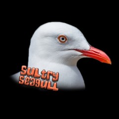 Sultry_Seagull