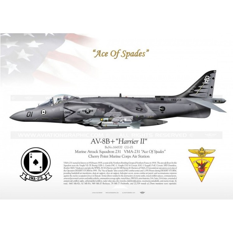 av-8b-harrier-ii-vma-231-ace-ogf-spades-jp-811.thumb.jpg.063ffea96d83ee2f3e94bb42e3ef45d9.jpg