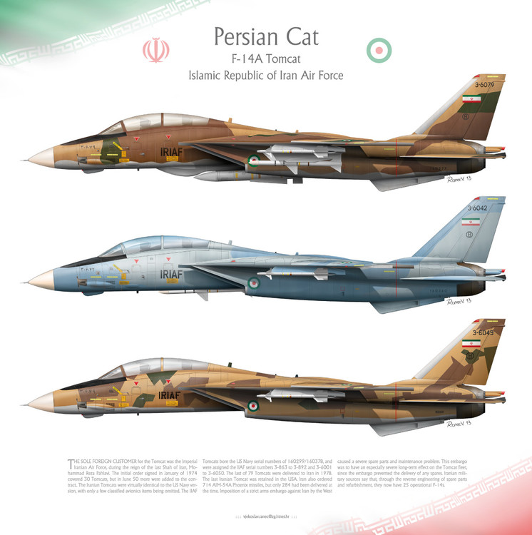 f_14a_tomcat_iriaf__persian_cat__by_0viking0-d5xttqc.thumb.jpg.014410e75e20b2434772051daaea2ad4.jpg