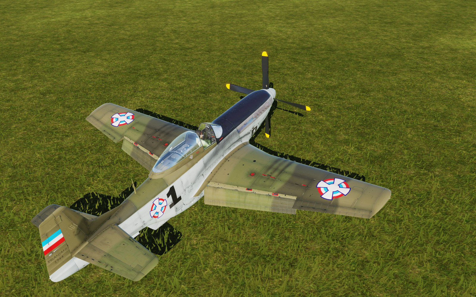 My first livery - DCS: P-51D Mustang - ED Forums My first livery - DCS: P-51D Mustang - ED Forums