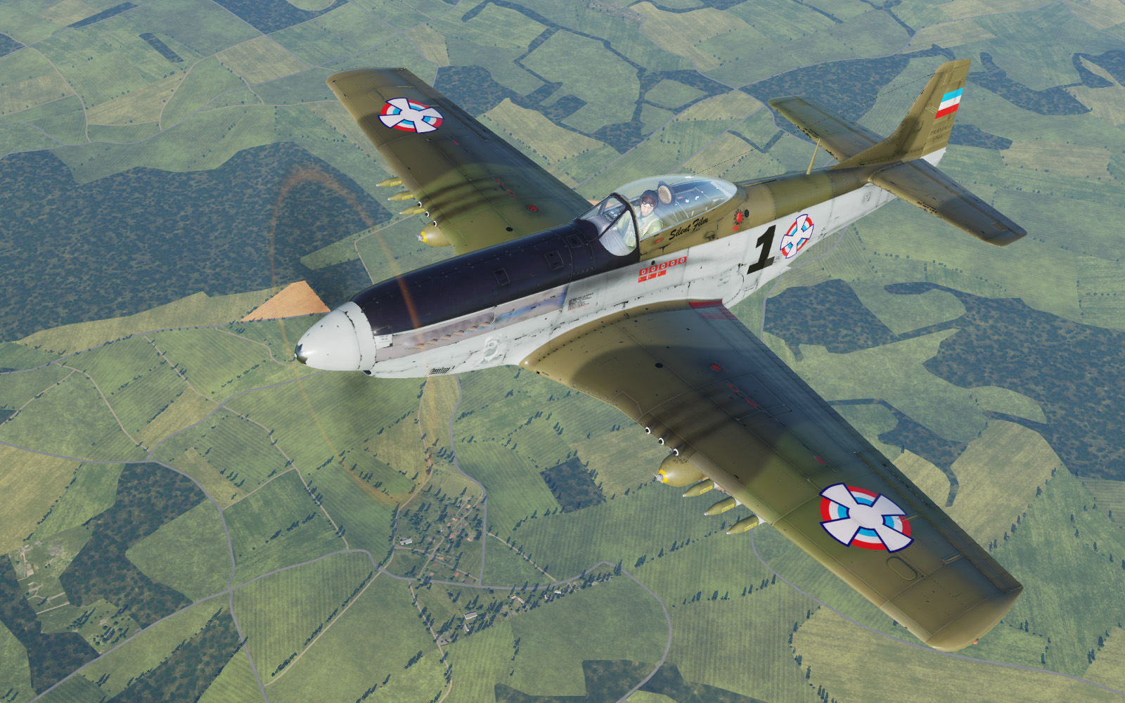 My first livery - DCS: P-51D Mustang - ED Forums My first livery - DCS: P-51D Mustang - ED Forums