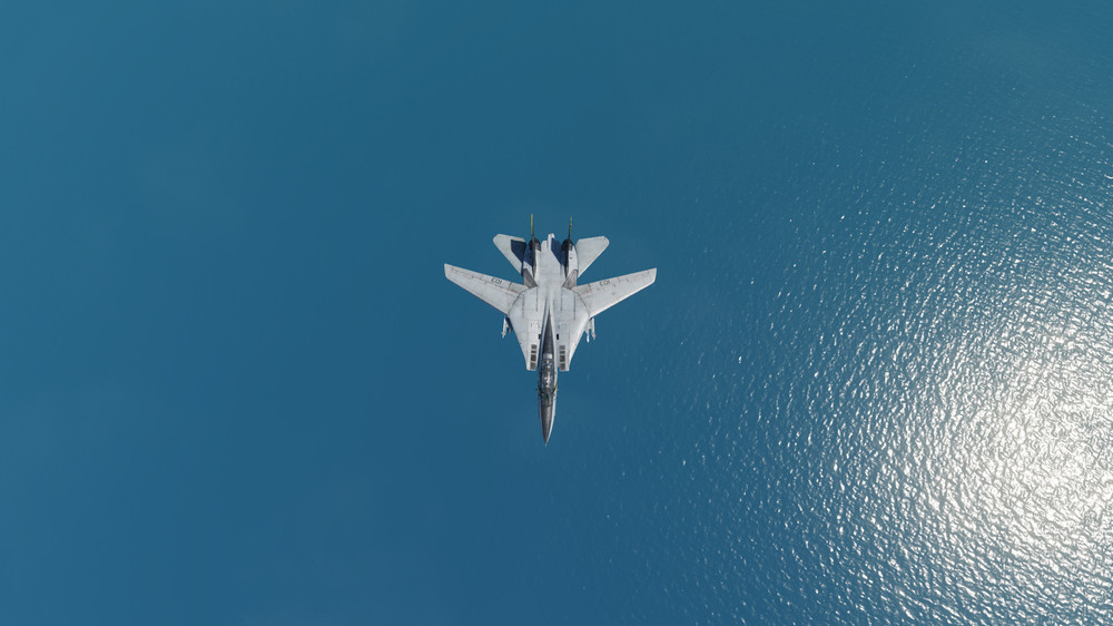 F-14B Jolly Rogers Liveries Bug 04.jpg