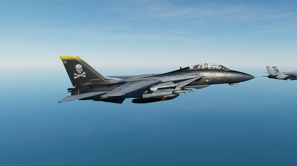 F-14B Jolly Rogers Liveries Bug 01.jpg