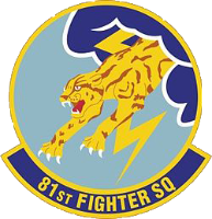 v81st Fighter Squadron