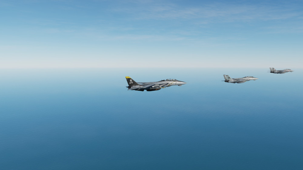 F-14B Jolly Rogers Liveries Bug 02.jpg