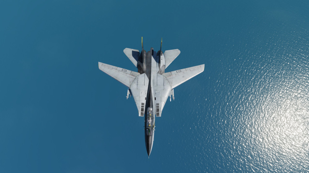 F-14B Jolly Rogers Liveries Bug 03.jpg