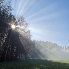 Klapphendl