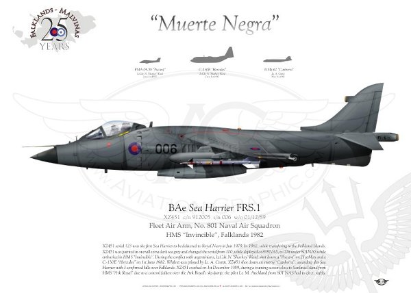 aircraft_harrier_frs.1_faa3.jpg