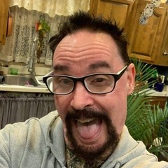 phillydog