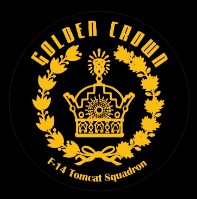 Golden Crown  F-14 Tomcat Squadron