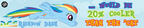 dcsdashie-hb-ed.jpg
