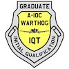 A-10C IQT Badge.jpg